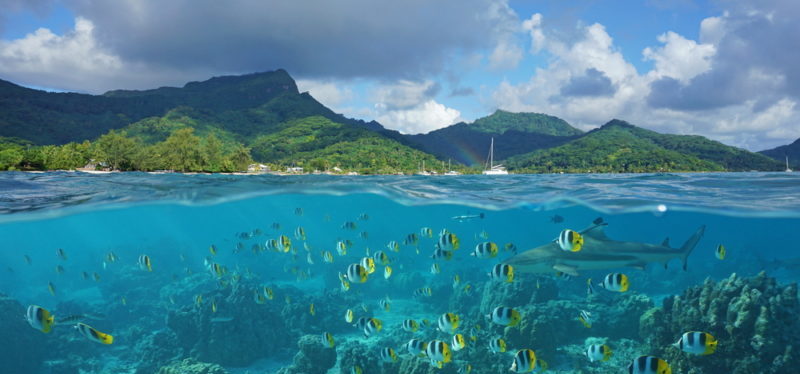 voyage-noce polynesie francaise